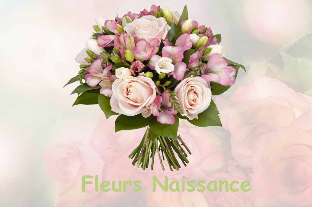 fleurs naissance SAINT-FERREOL-D-AUROURE